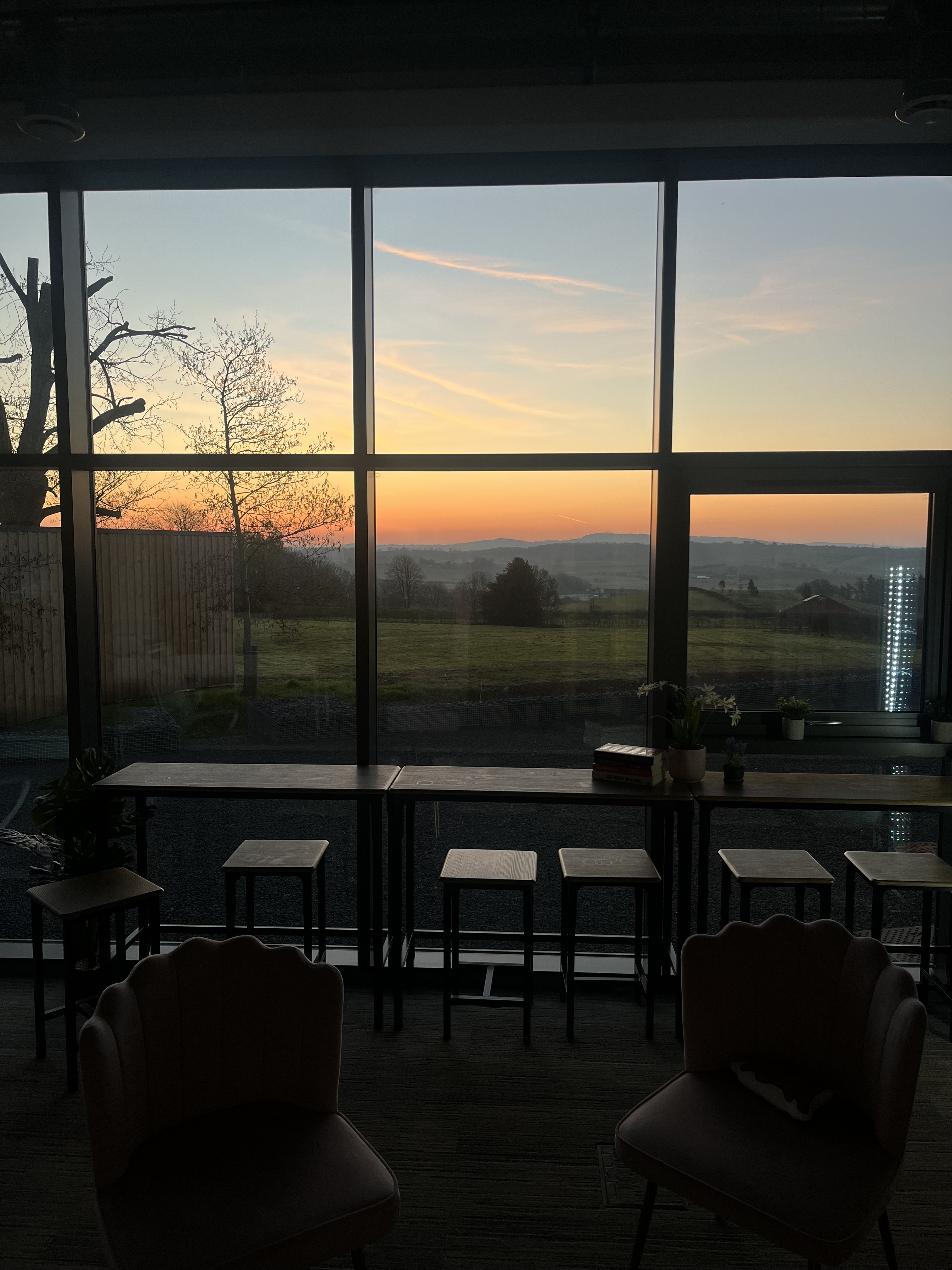 YMP office environment